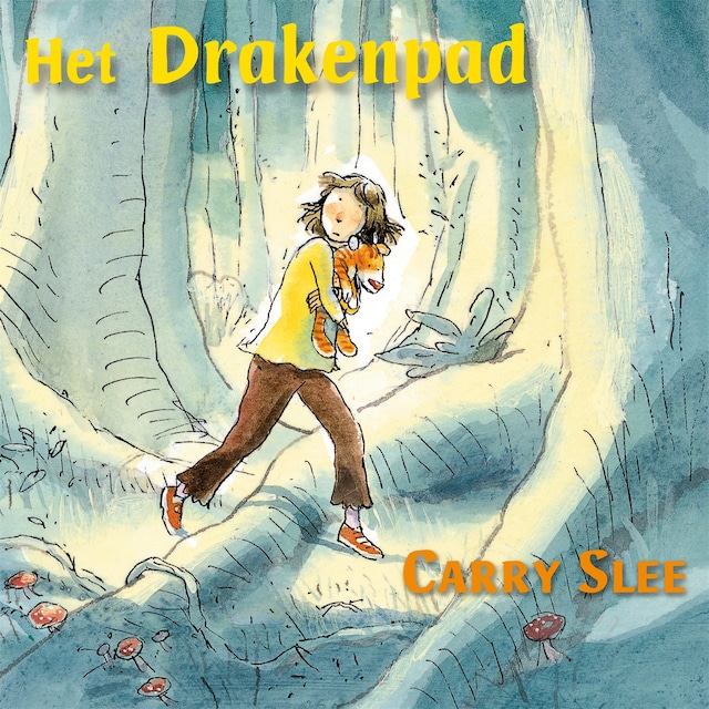 Book cover for Het drakenpad