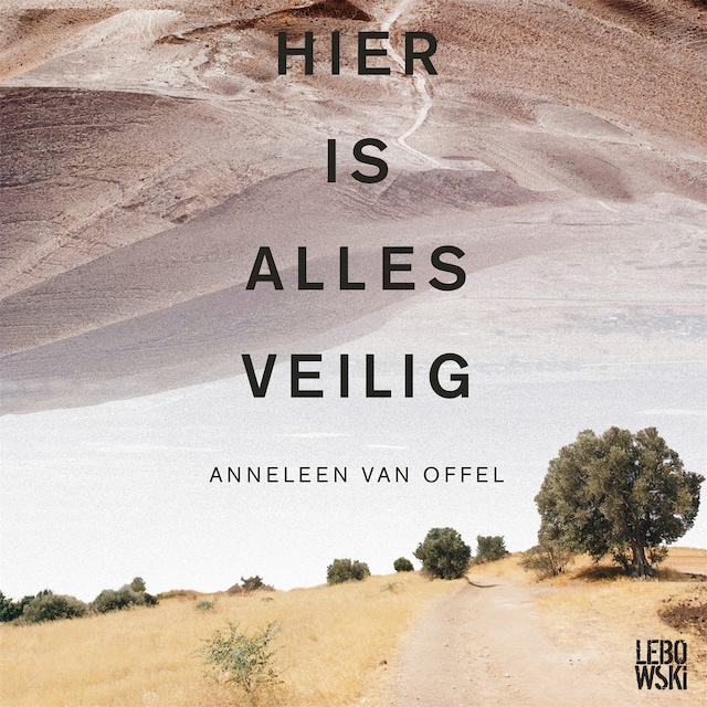 Book cover for Hier is alles veilig