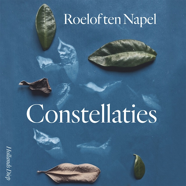 Buchcover für Constellaties