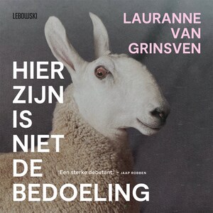 Hier zijn is niet de bedoeling - luisterboek