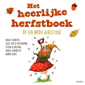 Het heerlijke herfstboek - Op een mooie herfstdag - luisterboek