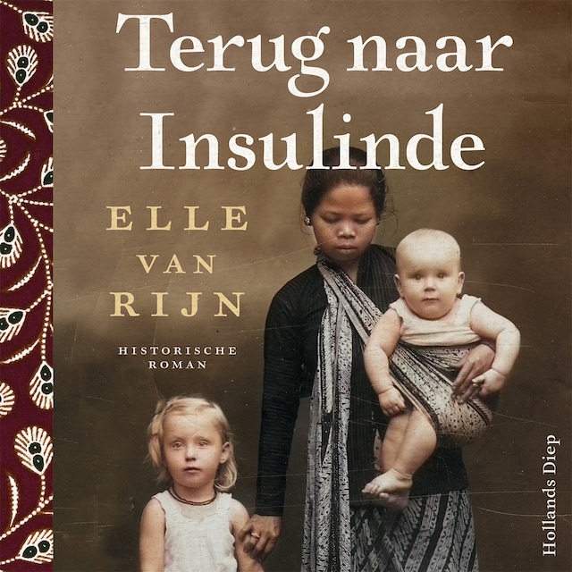 Book cover for Terug naar Insulinde