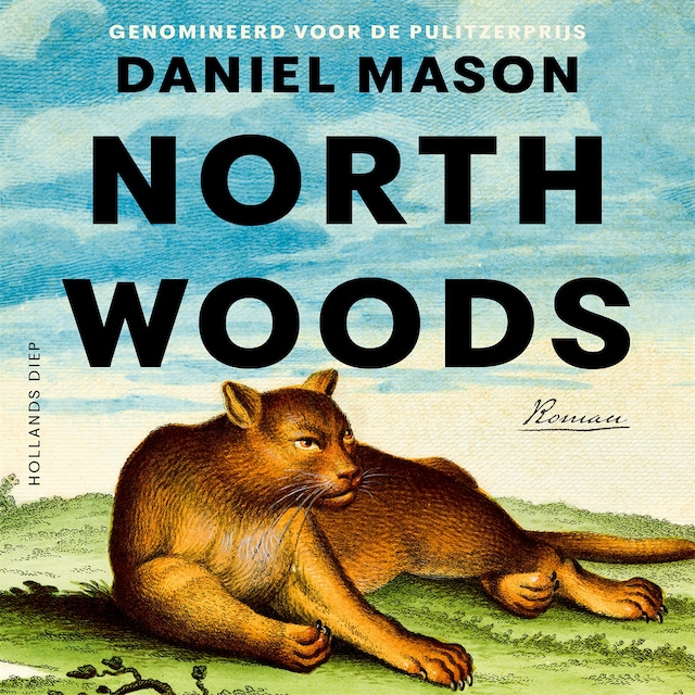 Book cover for North Woods