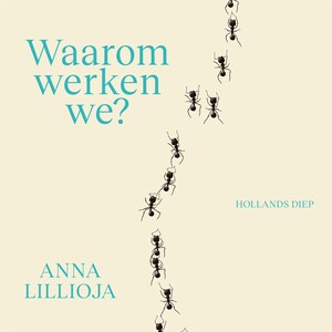 Waarom werken we? - luisterboek