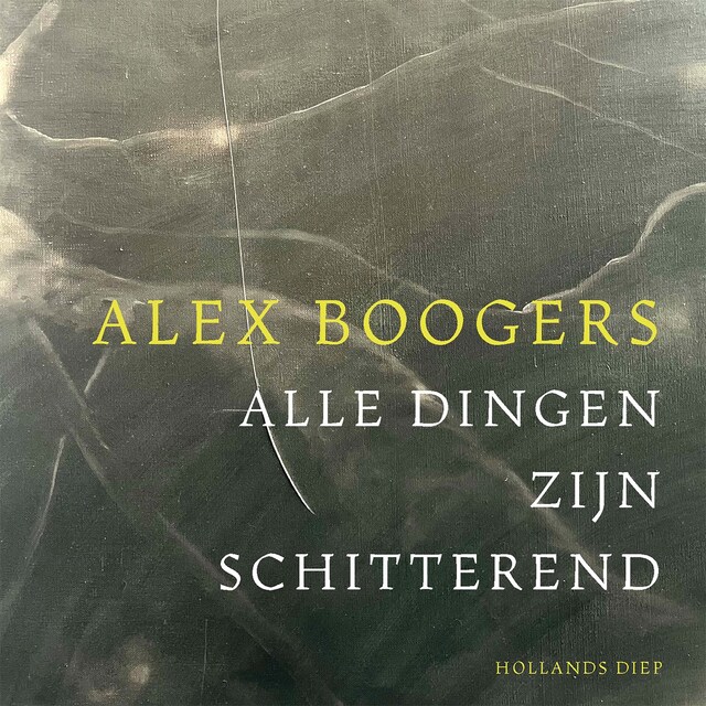 Book cover for Alle dingen zijn schitterend