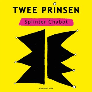 Twee Prinsen - luisterboek