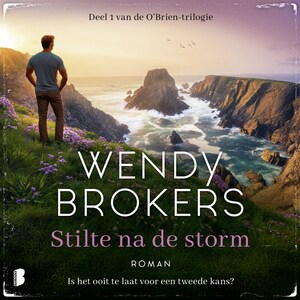 Stilte na de storm - luisterboek
