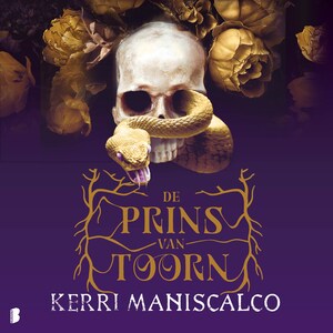 De prins van Toorn - luisterboek