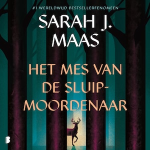 Het mes van de sluipmoordenaar - luisterboek