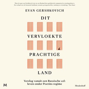 Dit vervloekte prachtige land - luisterboek