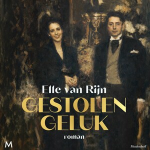 Gestolen geluk - luisterboek