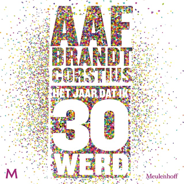 Couverture de livre pour Het jaar dat ik 30 werd