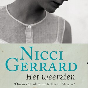 Het weerzien - luisterboek
