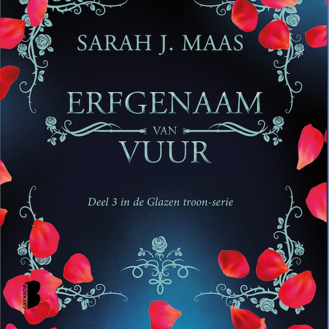Book cover for Erfgenaam van vuur