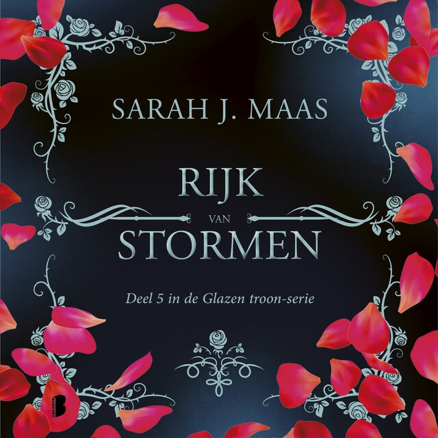 Book cover for Rijk van stormen