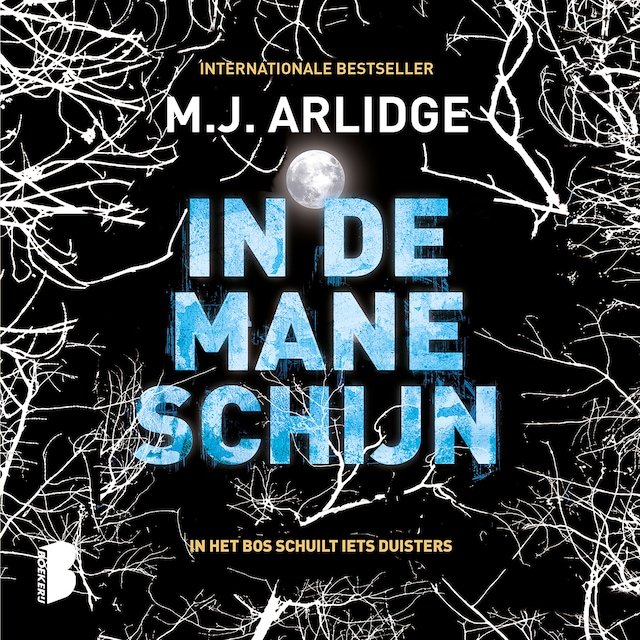 Book cover for In de maneschijn
