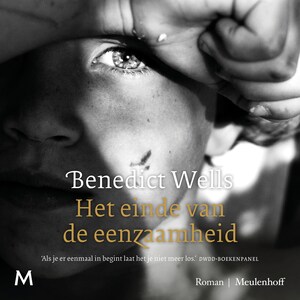 Het einde van de eenzaamheid - luisterboek