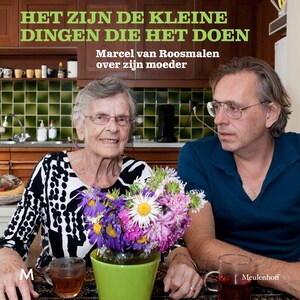 Het zijn de kleine dingen die het doen - luisterboek