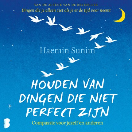 Houden van dingen die niet perfect zijn bookCoverFor