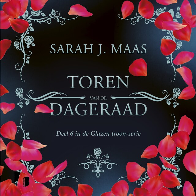 Copertina del libro per Toren van de dageraad