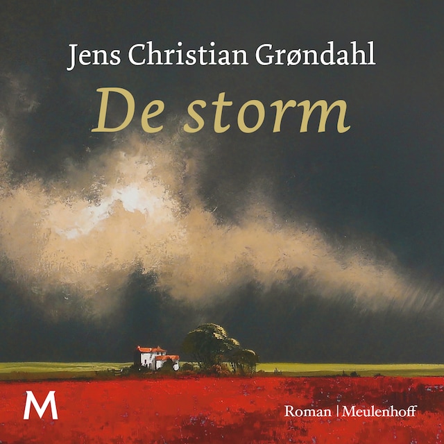Book cover for De storm