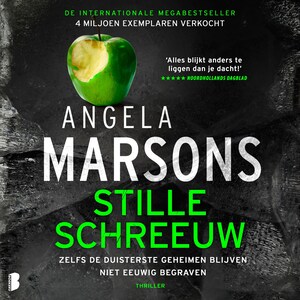Stille schreeuw - luisterboek