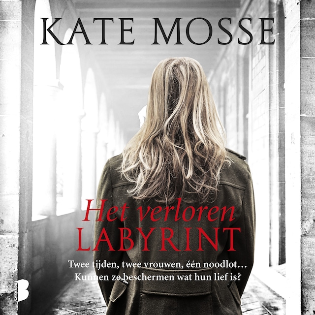 Okładka książki dla Het verloren labyrint