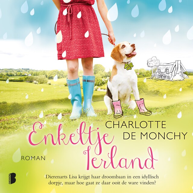Book cover for Enkeltje Ierland