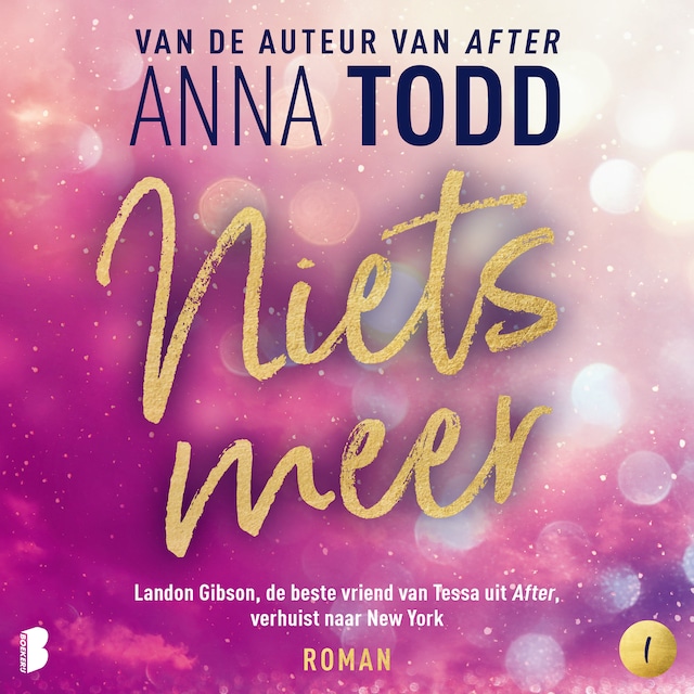 Book cover for Niets meer