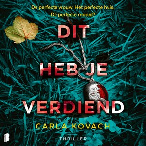 Dit heb je verdiend - luisterboek
