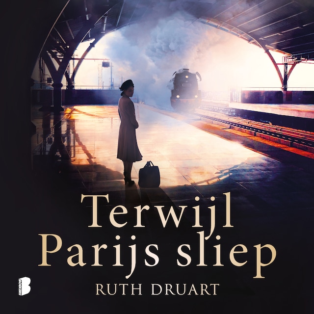 Book cover for Terwijl Parijs sliep