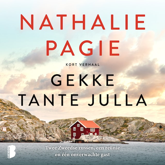Book cover for Gekke tante Julla