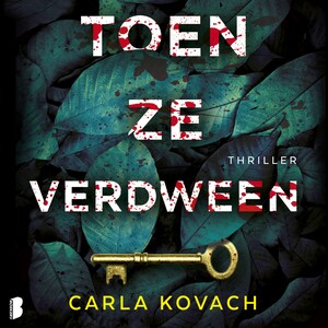 Toen ze verdween - luisterboek