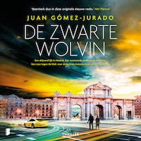 De Zwarte Wolvin