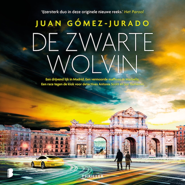 Book cover for De Zwarte Wolvin