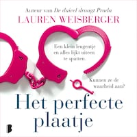 Het perfecte plaatje