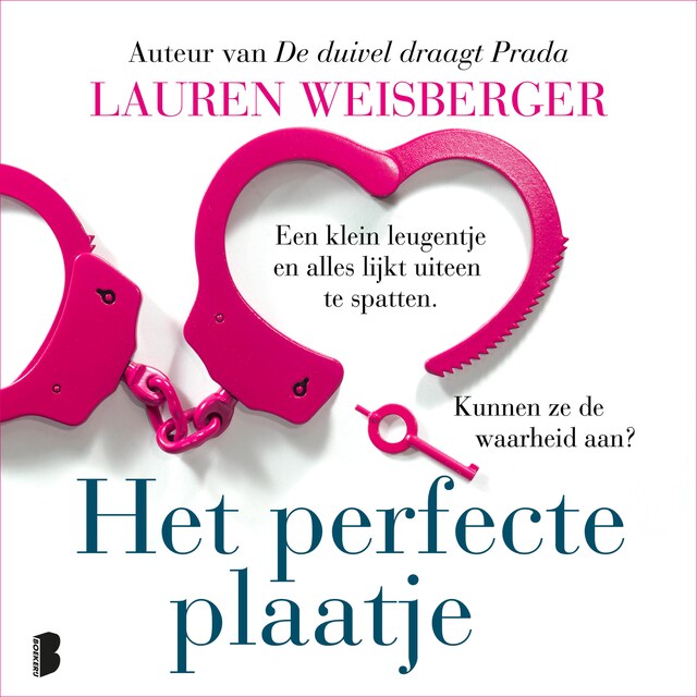 Book cover for Het perfecte plaatje