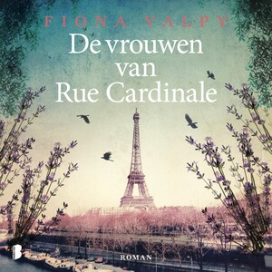 De vrouwen van Rue Cardinale - luisterboek