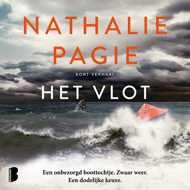 Book cover for Het vlot