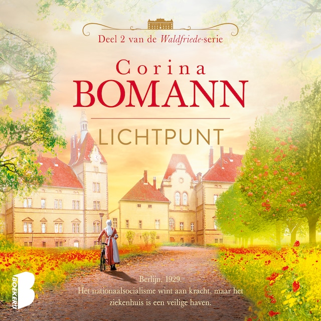 Book cover for Lichtpunt