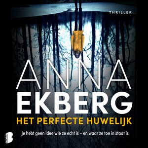 Het perfecte huwelijk - luisterboek