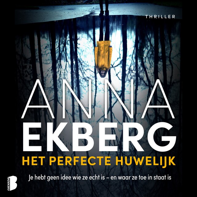 Book cover for Het perfecte huwelijk