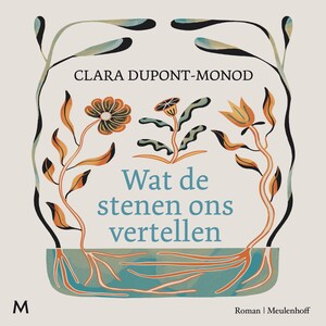 Wat de stenen ons vertellen - luisterboek