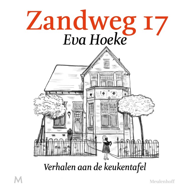 Copertina del libro per Zandweg 17