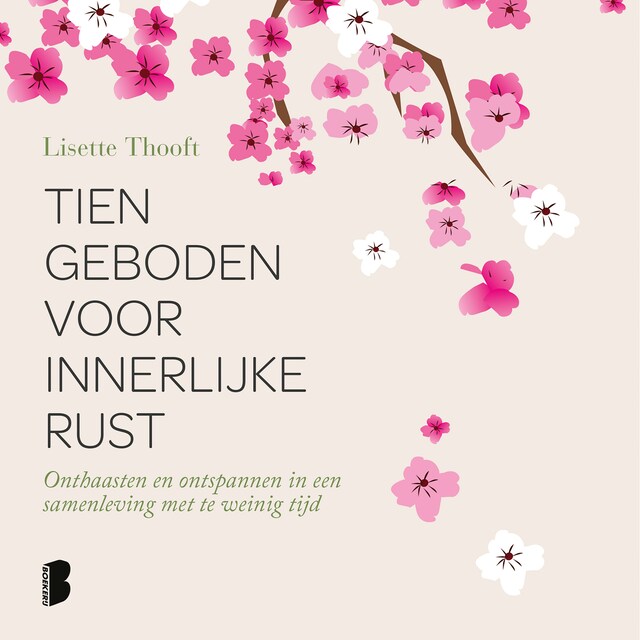 Couverture de livre pour Tien geboden voor innerlijke rust