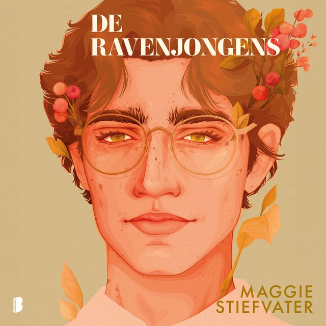 Book cover for De ravenjongens