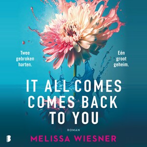 It All Comes Back To You - luisterboek