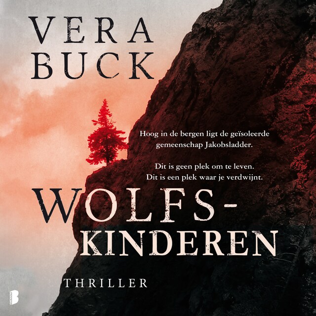 Book cover for Wolfskinderen