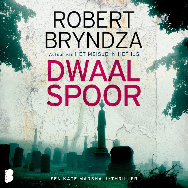 Book cover for Dwaalspoor