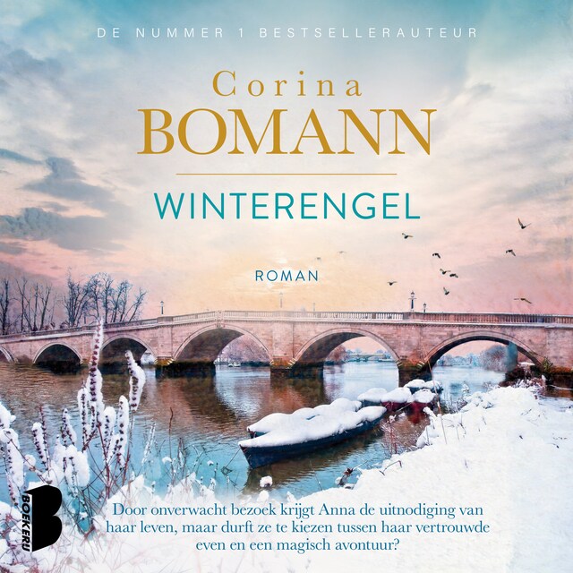 Book cover for Winterengel